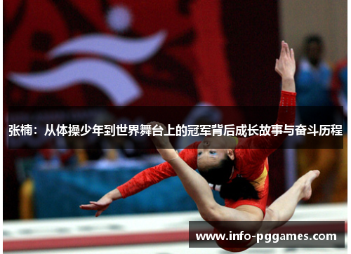 张楠：从体操少年到世界舞台上的冠军背后成长故事与奋斗历程
