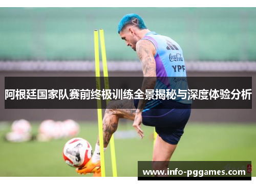 阿根廷国家队赛前终极训练全景揭秘与深度体验分析