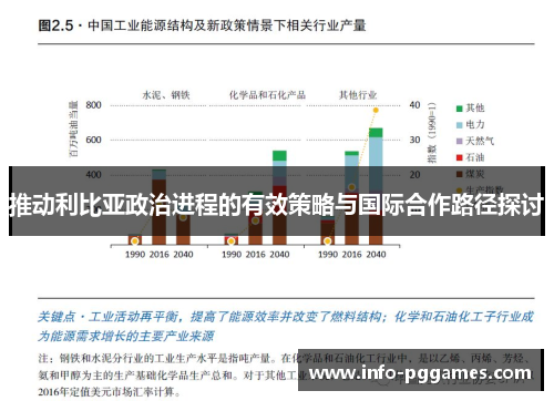 推动利比亚政治进程的有效策略与国际合作路径探讨